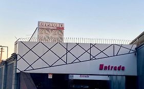Euphoria Motel
